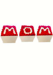 Initial Letter Set White & Red Preserved Roses
